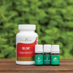 August Promo - BLM, Eucalyptus Blue, Peppermint, and White Fir